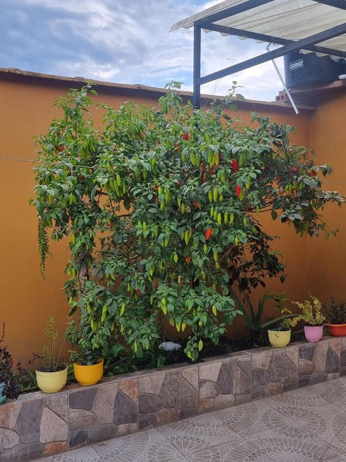 Hospedaje En Esplendor Jardín Eksteriør bilde